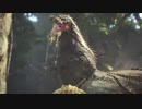 【Monster Hunter World】狩人と猫の世界を斜め上に楽しむ！Part72【実況】