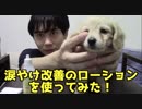 涙やけローションを愛犬のカニンヘンダックスフンドに使ってみた　PART2