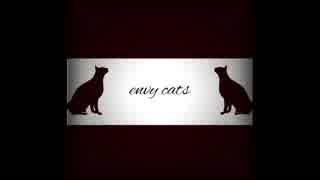 【初音ミク】envy cats【オリジナル曲】