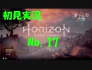 【初見実況】HorizonZeroDawn【17】