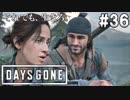 #36【DAYS GONE】深まる関係と離れる感情。【ゆっくり実況】