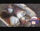 ゆっくり農民110トウモロコシを育ててみませんか？#8