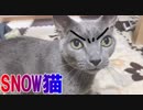 SNOW猫スタンプで撮ってみた
