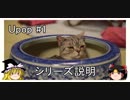 【シリーズ説明】【ネコ】 Upop #1 "Upop"
