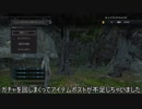 【DDON】サ終前のガチャー防具ロット編ー