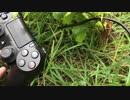 【ペット】PS4コントローラと散歩してみた。