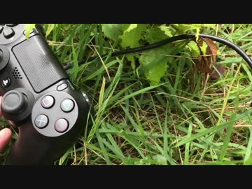 【ペット】PS4コントローラと散歩してみた。