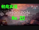 【初見実況】Horizon Zero Dawn【20】