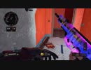 【神回】PADの感度14でGKS使ってみた【BO4】