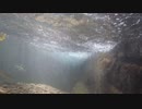 滝つぼ水中動画の続き