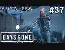 #37【DAYS GONE】ディークの発言に物申す！【ゆっくり実況】