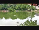 【釣り・Рыбалка в Токио】板橋区、志村坂上付近、見次公園で昼夜に釣りをする＠RX100M6＆Pixel 3 XLで撮影【VLOG・Видеоблог】