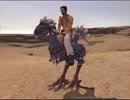FF11 Run Chocobo, Run!(チョコボレースBGM)