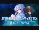 SummerPocketsを実況する30代 蒼ルート part14