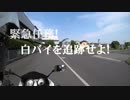 緊急任務！　白バイを追跡せよ！