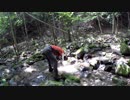【ULテント泊登山】大菩薩嶺ツェルトでGO！・その４(下山)【ザック総重量6.4kg】