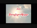 EVHA147မြန်မာ