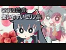 SNNM姉貴の使いやすいセリフ集