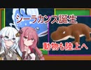 魚類の進化～両生類誕生【Birthdays the Beginning】 part2