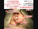 本当に犬尻肛門壊死腐乱肉で作成の黒人顔面及び性器身体部位©International Counter Terrorism