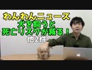 【わんわんニュース】犬を飼うと死亡リスクが低下する (他２件)（YouTubeで「ワンチュー犬」を検索！）