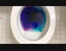コットンキャンディーをトイレに流してみた２