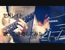 「セパレイト」歌ってギター弾いてみた＠ゆーと