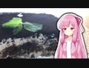 ティラミス生える【VOICEROIDキッチン】