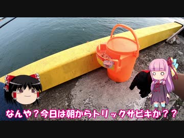 琴葉姉妹と行く釣行記録（海釣り編part5）