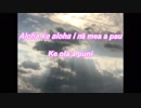 EVHA91Hawaiian