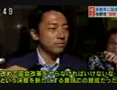 【政治、選挙】消費税増税ともセットだった議員定数削減公約の末路【候補者当人の、当時解説もオマケ】