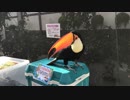 【実況】トロに休日を捧げる！　第7回目