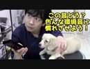 【しつけ】犬を色んな環境音に慣れさせよう（YouTubeで「ワンチュー犬」を検索！）
