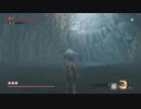 SEKIRO　色々自重しない首無し獅子猿戦