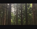[オリジナル曲：nature]　静かに過ごす方へ！