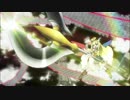 伊藤浩二 MAD part1