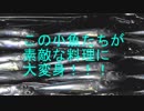 大漁の小鯖を塩焼きにして食べるぞ！