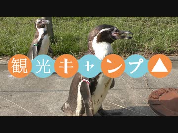 【観光キャンプ△】自転車★2019.6「学校橋河原」