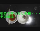 しめ鯖作って食べるぞ！
