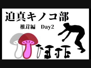 迫真キノコ部・しいたけ栽培の裏技　Day2