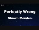 Perfectly Wrong - Shawn Mendes Karaoke 【With Guide Melody】