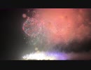 【2019】第34回 さかいふるさと祭り 利根川大花火大会 「Fanta!!」【マルゴー】