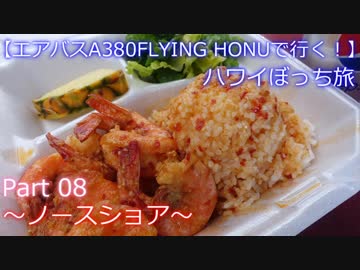 【フライングホヌの背に乗って】　Ｐａｒｔ８　～ノースショア～　【ハワイぼっち旅】