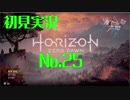 【初見実況】Horizon Zero Dawn【25】