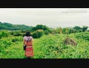 【私を古墳に連れてって】愛知県西尾市のとうてい山古墳