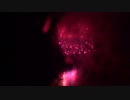 2019.7.13 （三重）伊勢神宮花火　スターマイン 「END OVER...」