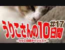 うりこさんの10日間 - 2019#17
