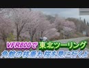 VFR800で東北ツーリング【４日目】～角館の枝垂れ桜を見に行くよ～