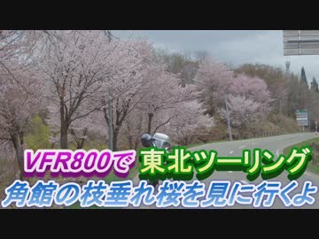 VFR800で東北ツーリング【４日目】～角館の枝垂れ桜を見に行くよ～