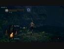 ダークソウルを新作にするMODの初見プレイ　10